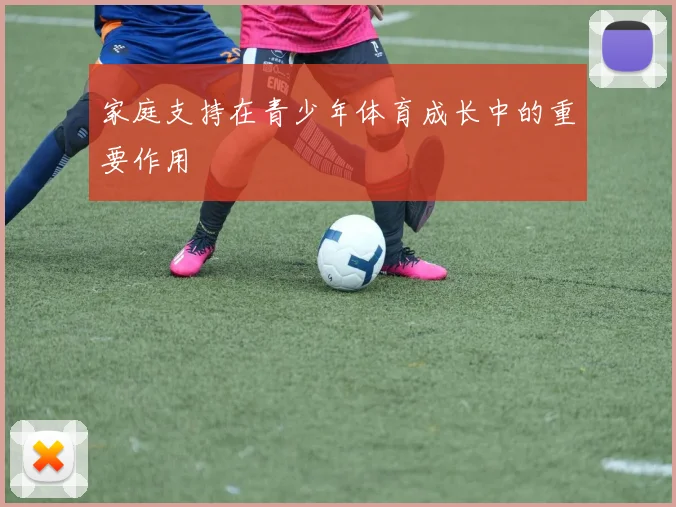 家庭支持在青少年体育成长中的重要作用